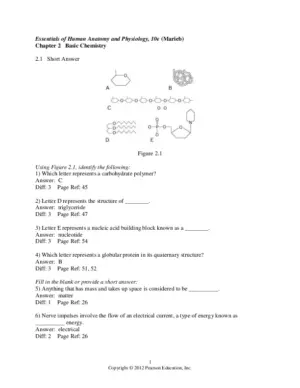 Essentials Of Human Anatomy And Physiology, 10th Edition Test Bank
