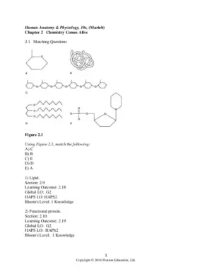 Human Anatomy And Physiology, 10th Edition Test Bank